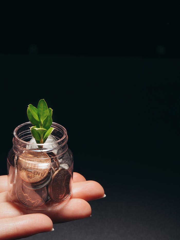 our-story A small plant growing in a glass jar filled with coins, represents financial growth and sustainability.